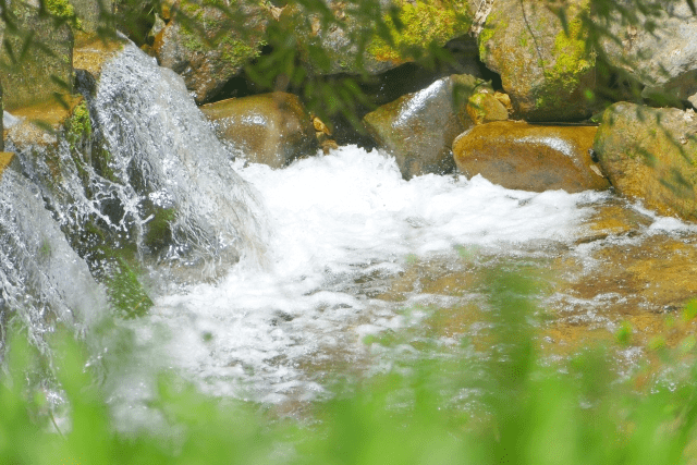 水がテーマの個別インタビューを通して水について考える