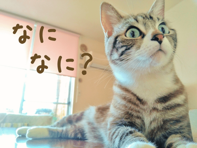 オンライン座談会は自分の意見を言える環境！その理由とは？